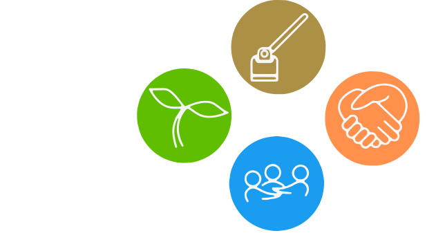 Rede Chapada Solidária